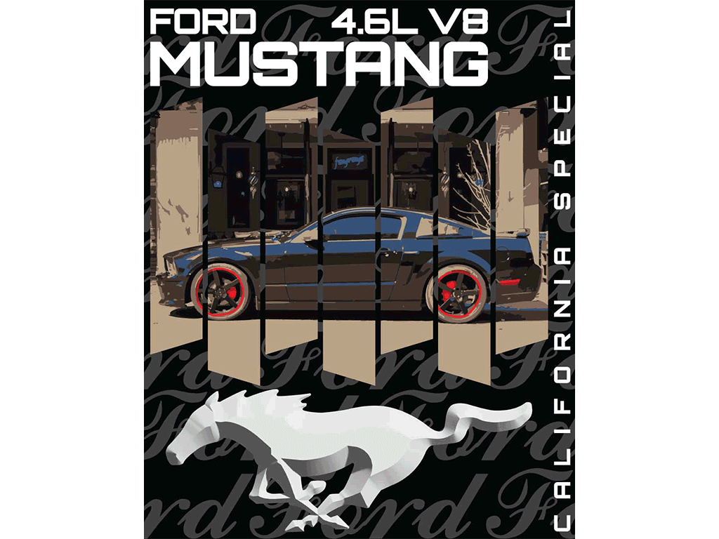 california special poster hung in the gallery