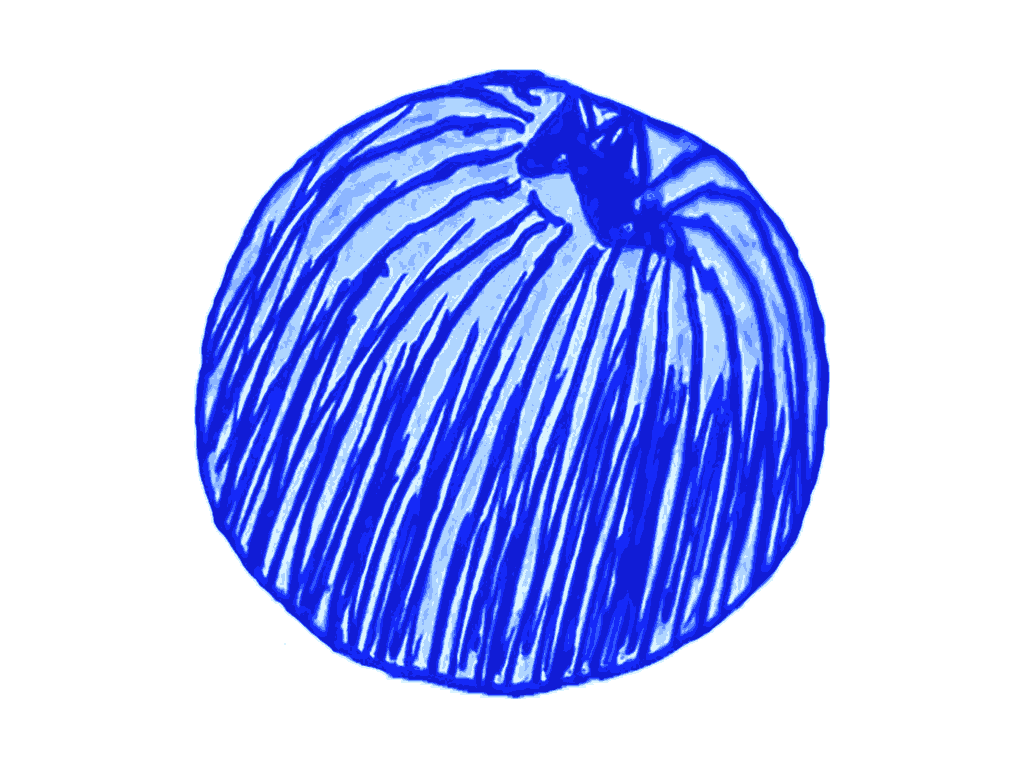 blueberry dilmah tea can design element